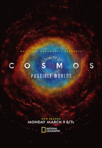 Cosmos-Possible Worlds